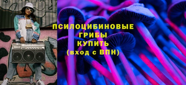 PSILOCYBIN Зеленодольск