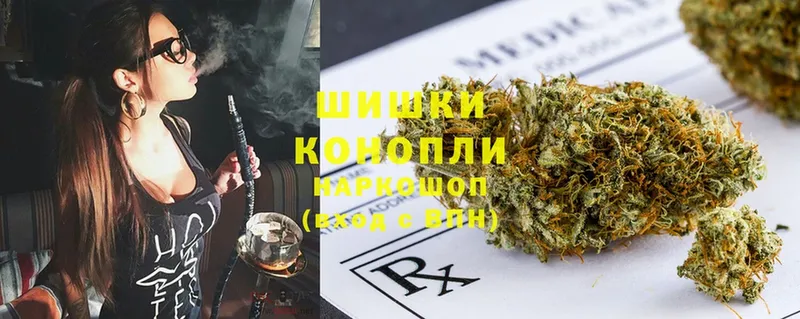 Бошки Шишки SATIVA & INDICA  мориарти официальный сайт  Щёкино 